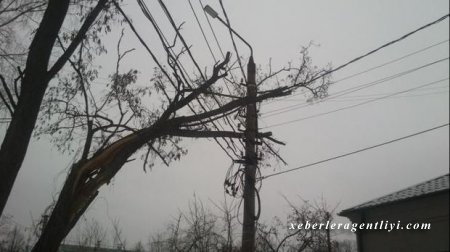 “Azərişıq” güclü küləklə bağlı əhaliyə müraciət etdi