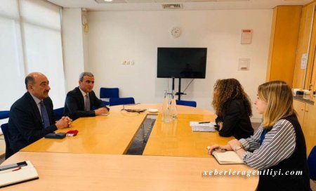 Əbülfəs Qarayev Britaniya Şurasının İncəsənət Şəbəkəsinin baş ofisində görüş keçirib
