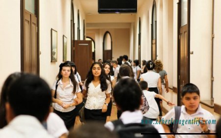 Məktəblərdə psixoloq ştatının sayı müəyyənləşdi - QƏRAR