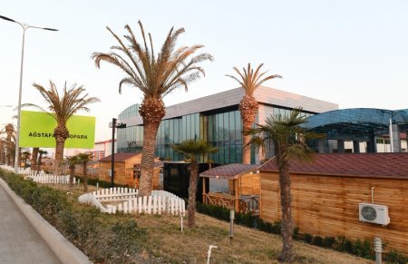 Prezident Ağstafa Aqrar Sənaye Kompleksinin açılışında - FOTO