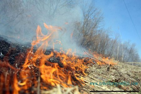 Zaqatalada meşə yanır