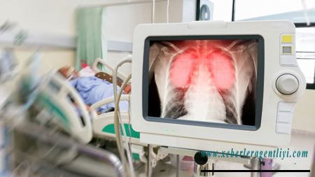 Dünyanı əsirinə çevirən virus - ARAŞDIRMA