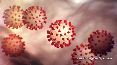 Koronavirus yalan olacaq – AXI NİYƏ?!