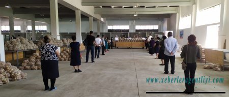 İsmayıllı bazarı əhaliyə pulsuz yardım paylayı