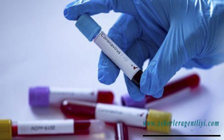 Daha 543 nəfərdə koronavirus aşkarlandı - 6 nəfər öldü