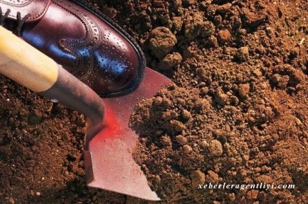 Azərbaycanda dəhşətli qətl: Qayınata kürəkənini öldürüb meşədə basdırdı - YENİLƏNİB