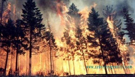 Nazirlikdən vətəndaşlara müraciət: “Kimlərinsə etinasızlığı ucbatından...”