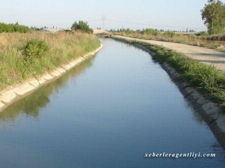 Şabranda qardaş bacısını su kanalına atıb öldürdü