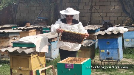 AFAQ layihəsinin ilkin mərhələsində 32 qadın fermerə dəstək göstərilib