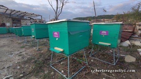 AFAQ layihəsinin ilkin mərhələsində 32 qadın fermerə dəstək göstərilib