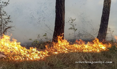 Şahdağ Milli Parkında yanğın başlayıb