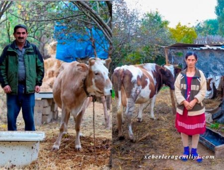 İşğaldan azad olunan yurd yerlərinə kiçik biznesləri ilə qayıtmağa hazırlaşırlar - FOTO