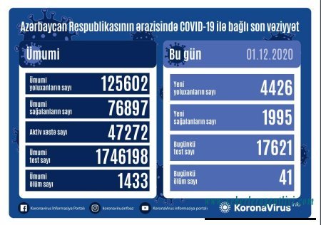 Yoluxan və ölənlərin sayı artdı