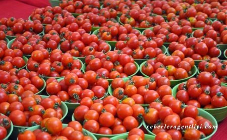 "Pomidor diplomatiyası":Rusiya Azərbaycanı nəyə çəkir? - GƏLİŞMƏ