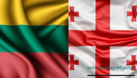 Litvada Gürcüstanın adı dəyişdi - RƏSMİ