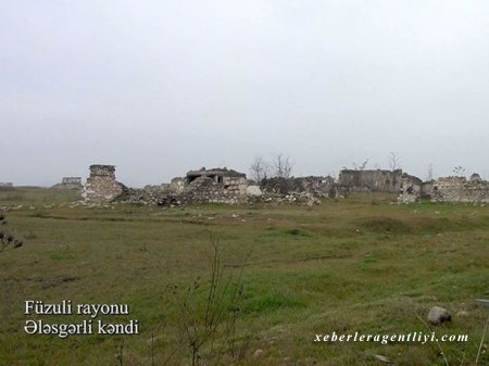 Füzulinin Ələsgərli kəndindən görüntülər - VİDEO