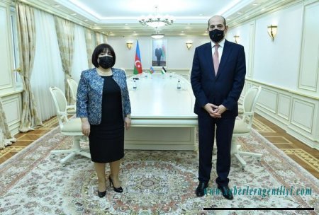 Sahibə Qafarova İordaniya səfiri ilə görüşdü