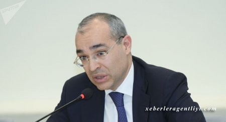 “Sahibkarların əl-qolu tam açılmalıdır” - Mikayıl Cabbarov