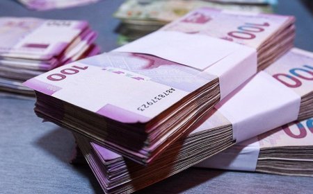 Bu sahədə qiymətlər KƏSKİN ARTDI: 350 manatdan 800 manata...