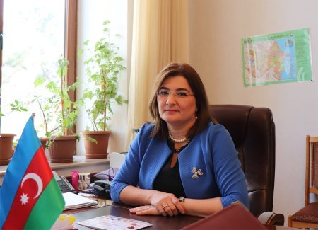 Səhiyyə Nazirliyinin Səhiyyənin Təşkili şöbəsinin məsləhətçisi Aynurə Zeynalova uşaqların erkən inkişaf dövrü ilə əlaqədar valideynləri maraqlandıran sualları cavablandırıb