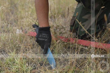 Bu il Qarabağda minalardan təmizlənəcək ərazinin miqyası AÇIQLANDI