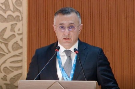 Səhiyyə naziri Ümumdünya Səhiyyə Assambleyasının 75-ci sessiyasının plenar iclasında çıxış edib - FOTO