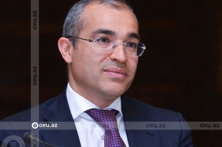 Mikayıl Cabbarov Davosda şam yeməyində hansı mövzulardan danışıldığını açıqladı - FOTO