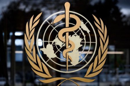 ÜST meymunçiçəyinin hansı səbəbdən artdığını AÇIQLADI