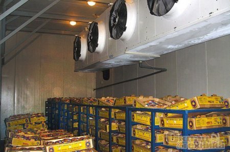 Rusiyada uşağı supermarketin soyuducusunda kilidlədilər