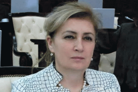 Parlamentdə Ukraynada həbsdə olan Vətən Müharibəsi iştirakçısı barədə məsələ qaldırılıb 
