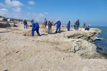 Buzovnanın sahilboyu ərazisində növbəti iməcilik keçirilib 