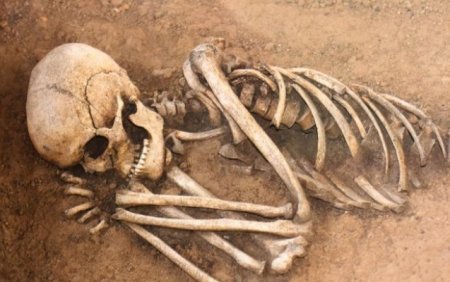 Şəkidə tarixi abidə ərazisində körpə skeletləri tapıldı