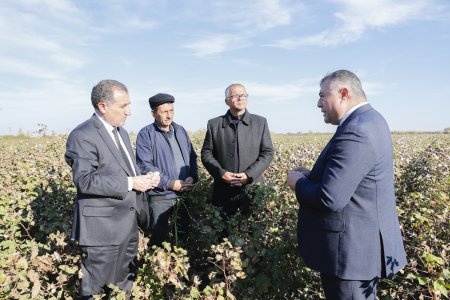 Pambıqçılıq-2022 Tədarük məntəqələrinə 285 min tondan çox pambıq təhvil verilib
