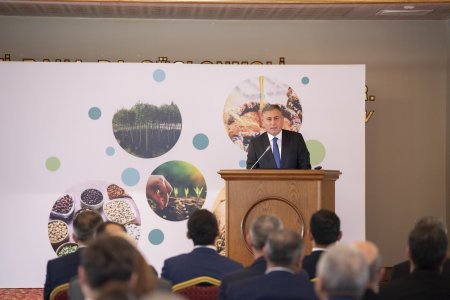 Şamaxıda toxumçuluğun inkişafına dair beynəlxalq konfrans keçiilib