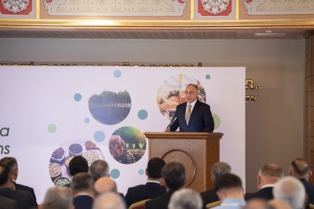 Şamaxıda toxumçuluğun inkişafına dair beynəlxalq konfrans keçiilib