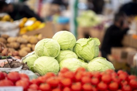 Həftəsonu Bakı və Abşeronda “Kənddən Şəhərə” yarmarkaları təşkil olunacaq