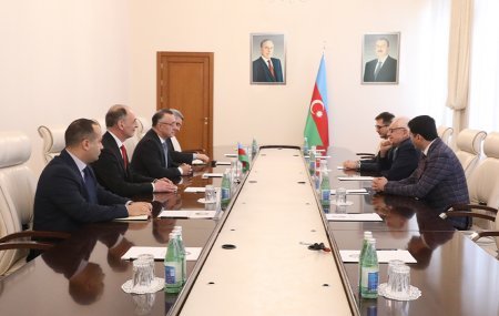 Səhiyyə Nazirliyində Beynəlxalq Pediatriya Assosiasiyasının prezidenti ilə görüş keçirilib