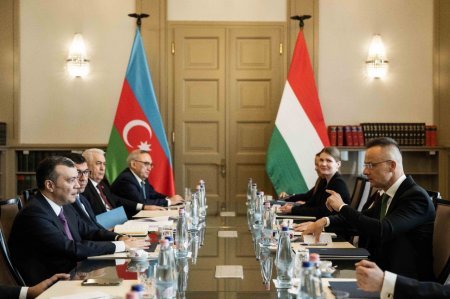 Budapeştdə Azərbaycan və Macarıstan Hökumətləri arasında  Birgə Komissiyanın iclası keçirilib