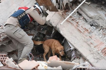 Malatyada dünən baş verən zəlzələdə ölənlərin sayı artdı