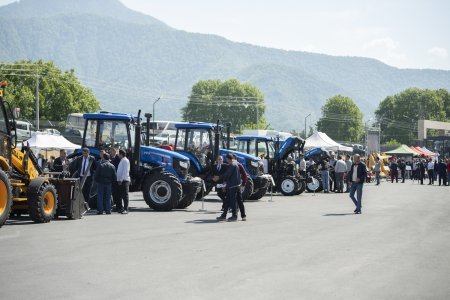 Növbəti Aqrar İnnovasiya Festivalı Zaqatala rayonunda keçirilib