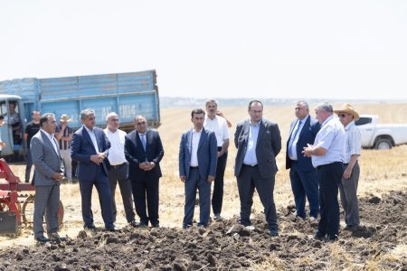 Nazir Məcnun Məmmədov İsmayıllıda taxıl biçini prosesində iştirak edib, təsərrüfatlara baş çəkib