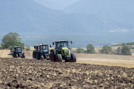 Nazir Məcnun Məmmədov İsmayıllıda taxıl biçini prosesində iştirak edib, təsərrüfatlara baş çəkib