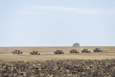 Nazir Məcnun Məmmədov İsmayıllıda taxıl biçini prosesində iştirak edib, təsərrüfatlara baş çəkib