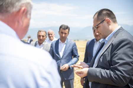 Nazir Məcnun Məmmədov İsmayıllıda taxıl biçini prosesində iştirak edib, təsərrüfatlara baş çəkib