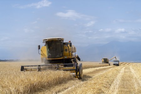 Biçin davam edir, sahələrdən 2 milyon tondan çox məhsul yığılıb - OPERATİV MƏLUMAT  