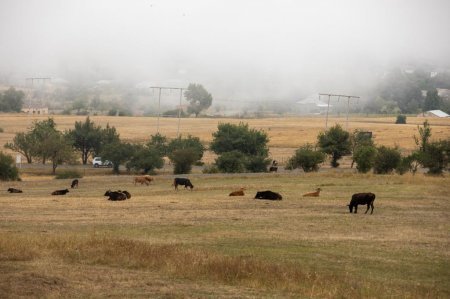 "Aqroservis" ASC rəhbərliyi Lerikdə fermerlərlə görüşüb