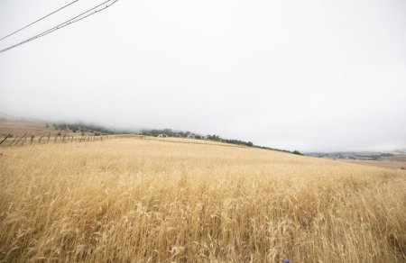 "Aqroservis" ASC rəhbərliyi Lerikdə fermerlərlə görüşüb