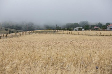 "Aqroservis" ASC rəhbərliyi Lerikdə fermerlərlə görüşüb