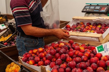 Həftəsonu “Kənddən Şəhərə” yarmarkası təşkil olunacaq