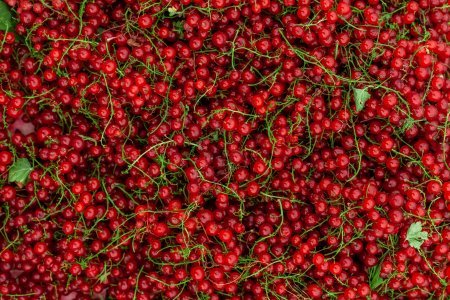 Həftəsonu “Kənddən Şəhərə” yarmarkası təşkil olunacaq